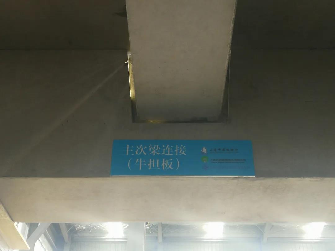 1589264010919324.jpg